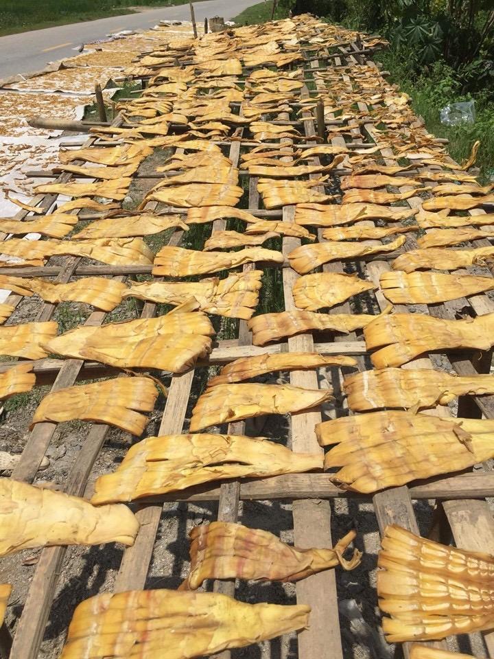 Măng Lá Khô (Măng Bẹ) Tây Bắc 1Kg