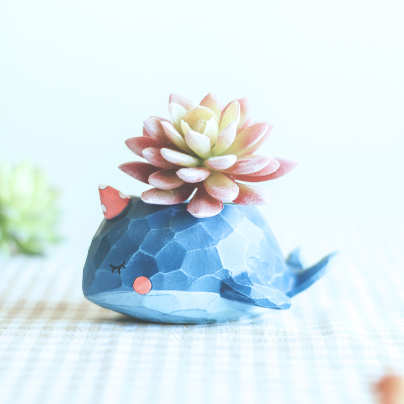 Chậu hoa mini trồng sen đá xương rồng cây để bàn