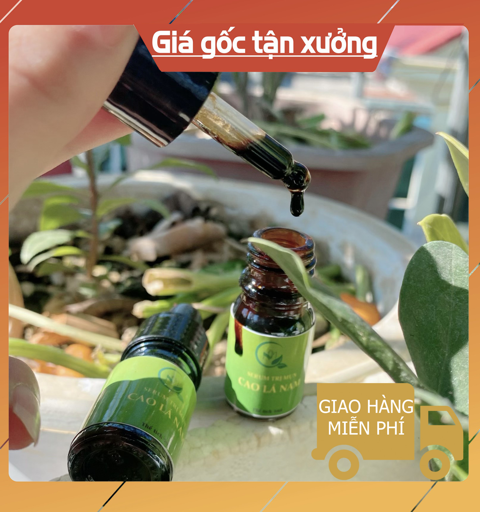 Cao Lá Nam - Hương Ngô Không Mix - Cồi Nhân Mụn Và Loại Bỏ Các Loại Mụn Tận Gốc