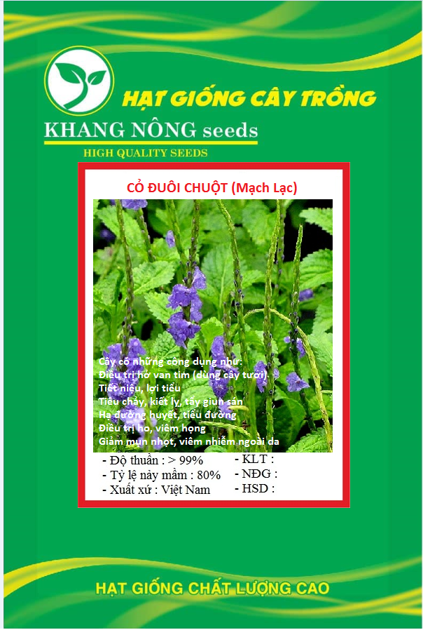 Hạt giống cây đuôi chuột - Gói 100 hạt