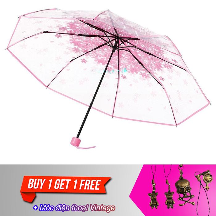 Dù xếp trong suốt hoa anh đào V.2