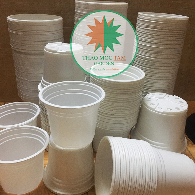 20c chậu nhựa trồng hoa 150x125mm - Chậu chuyên trồng hoa nhà vườn, trồng dâu tây