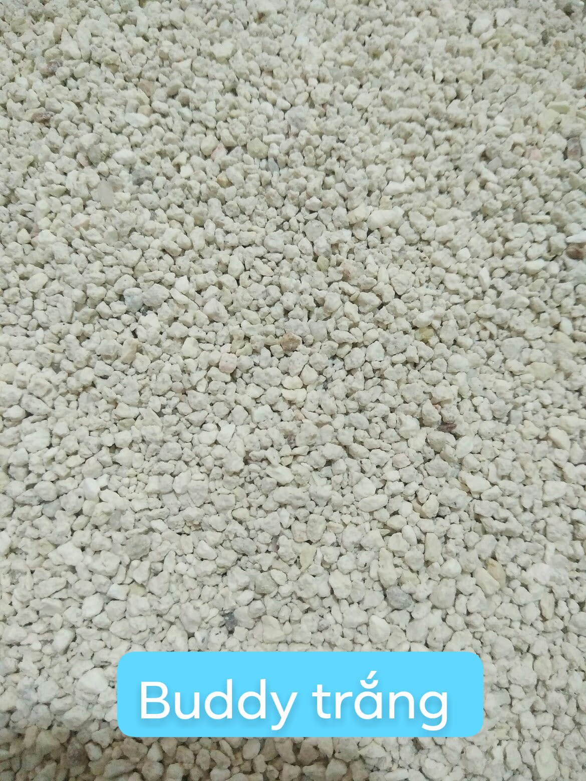 Cát buddy trắng cho hamster - Cam kết hàng đúng mô tả, chất lượng đảm bảo an toàn đến sức khỏe cho thú nuôi