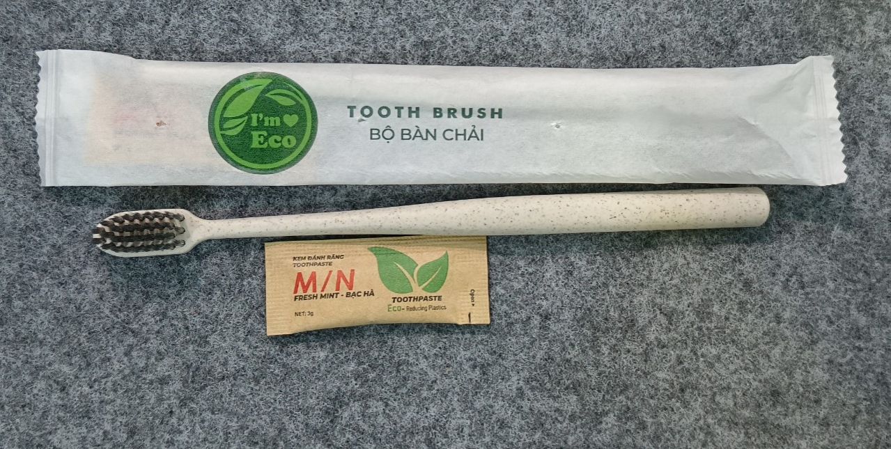 Combo 100 bộ bàn chải eco