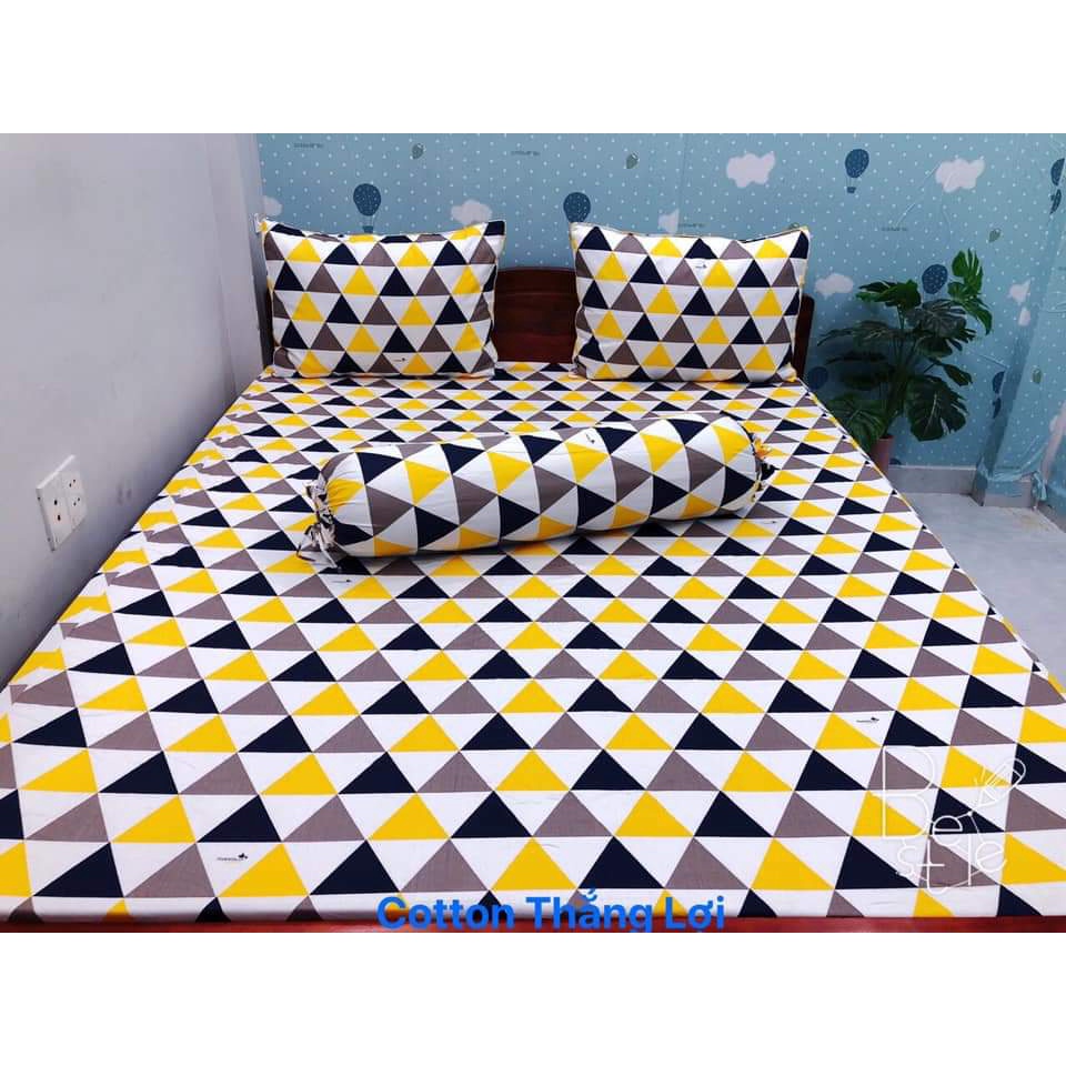 Ga lẻ thắng lợi 1m6/2m nệm dưới 15cm