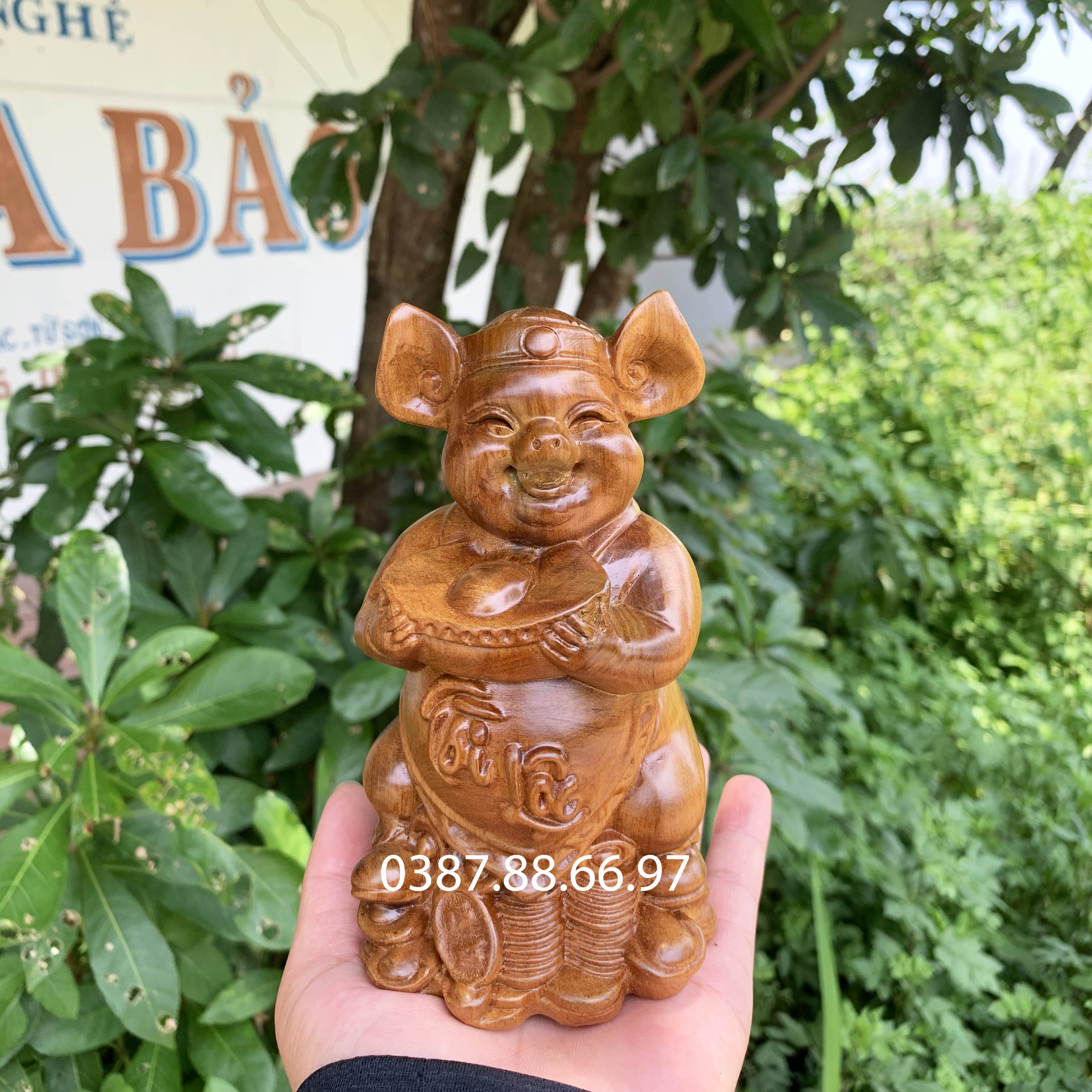 Tượng heo tài lộc gỗ bách xanh cao 15 20cm cực đẹp