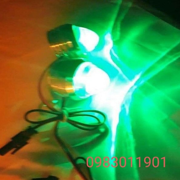Đèn chớp, đôi đèn nháy bi mắt trâu điện chung 12v, 24v dành cho ô tô, xe máy