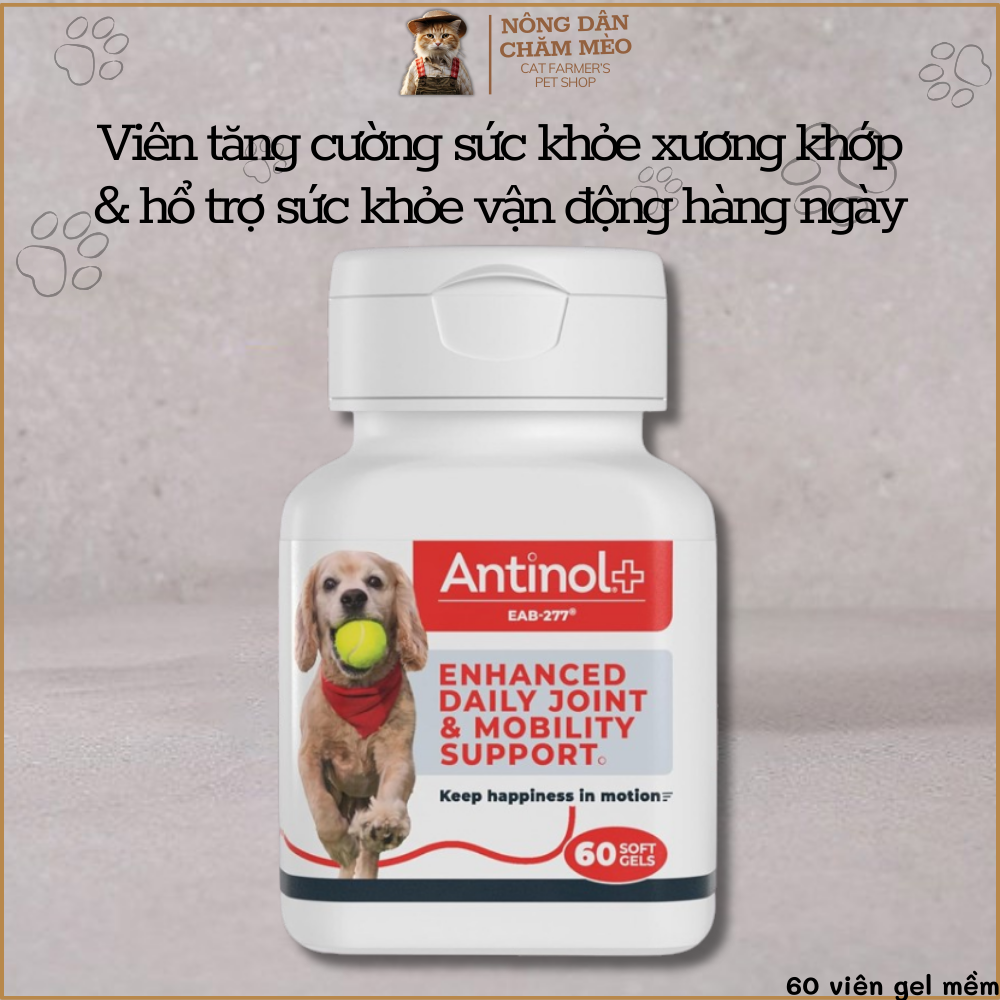 Viên tăng cường sức khỏe xương khớp và hổ trợ sức khỏe vận động hàng ngày cho chó Atinol - EAB-277