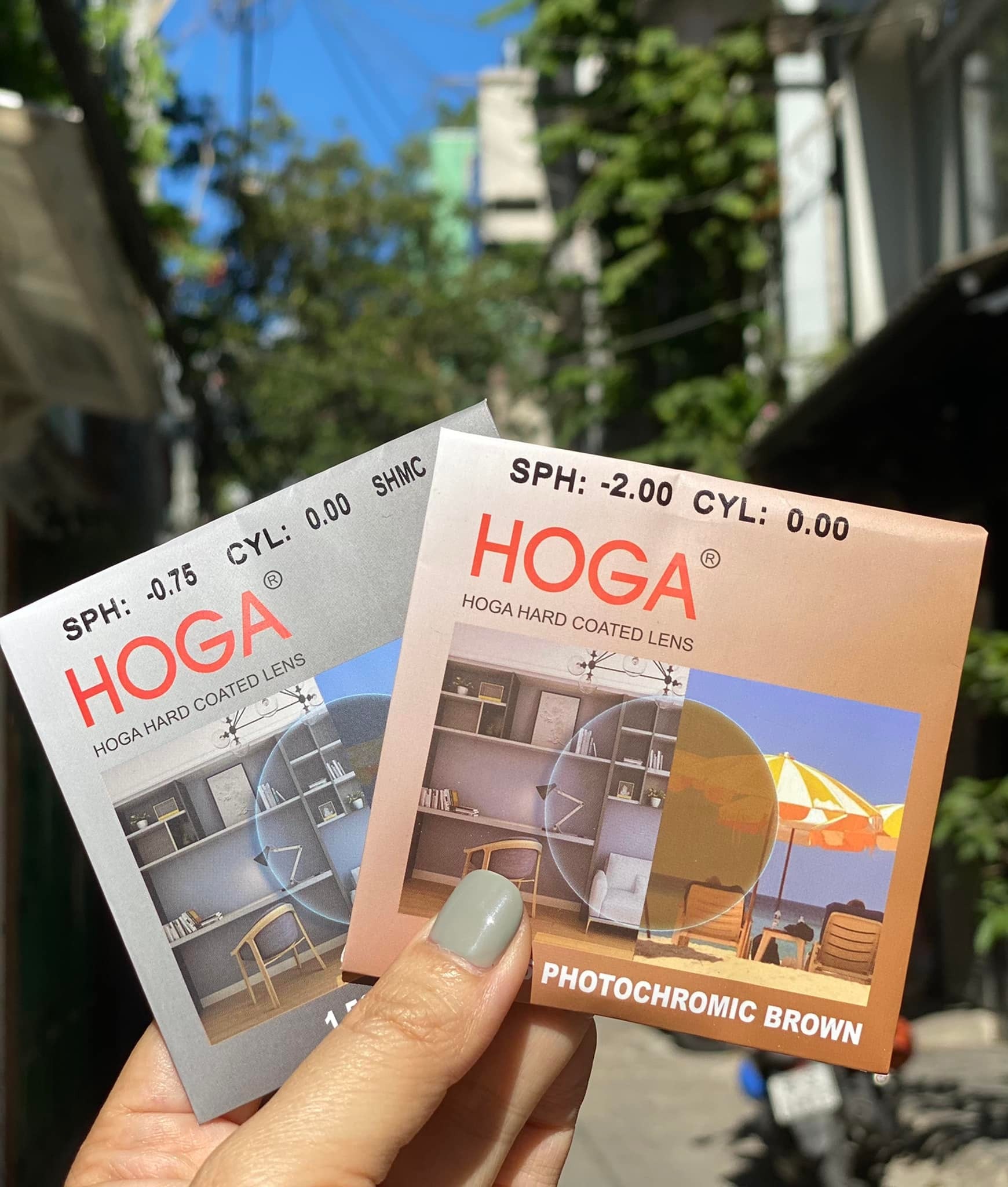 Tròng kính đổi màu Trà/Khói HOGA - 1.56