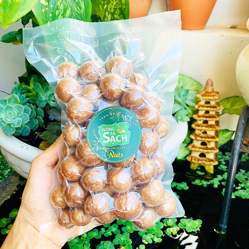 Hạt Macca Tươi - Macca Sống Nguyên Quả Tách Nứt Sẵn (Tặng kèm đồ tách) 500G