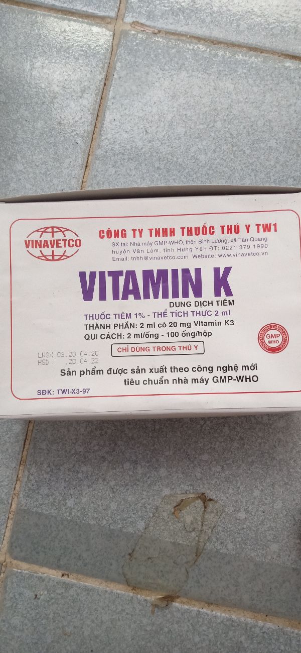 10 Ống Vitamin K Cầm Máu - 362