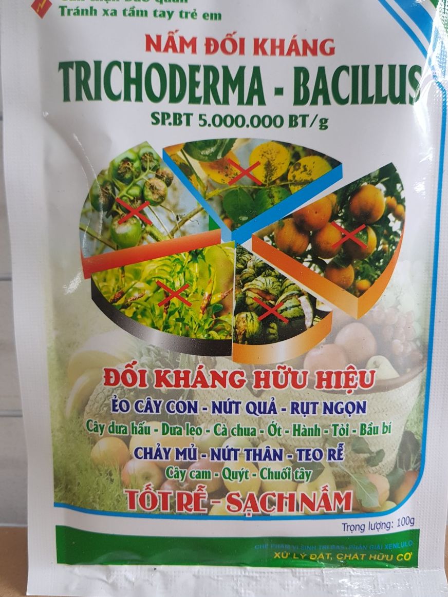Nấm đối kháng trichoderma Bacilluss; Chế phẩm sinh học; men ủ phân vi sinh; men vi sinh ủ phân hữu cơ; men vi sinh phân hủy rác hữu cơ; tricoderma; trichoderma )