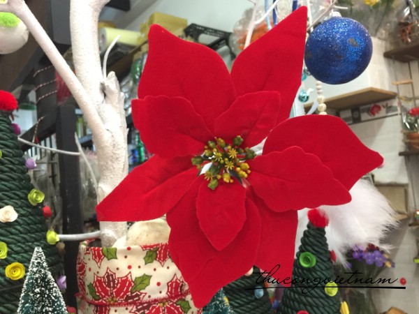 [Siêu Sale] Hoa trạng nguyên đỏ nhung trang trí cây thông Noel Kho Nguyên Liệu Pha Chế