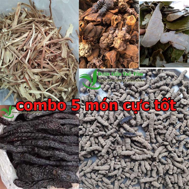Sâm cau + nấm ngọc cẩu + dâm dương hoắc + ba kích tím + nhục thung dung tổng 2.5kg