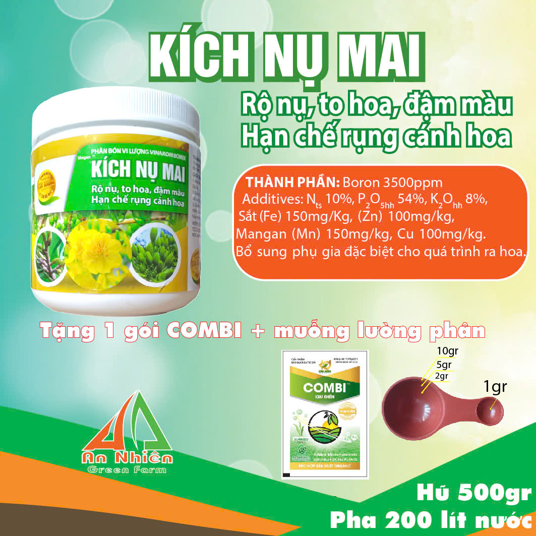 Kích nụ mai (1 hũ 500gr tặng 1 gói combi kim điền)