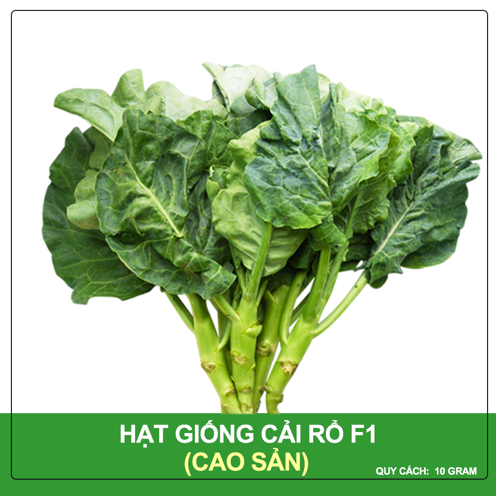 Hạt Giống Cải Rổ Phú Nông Gói 10 Gram