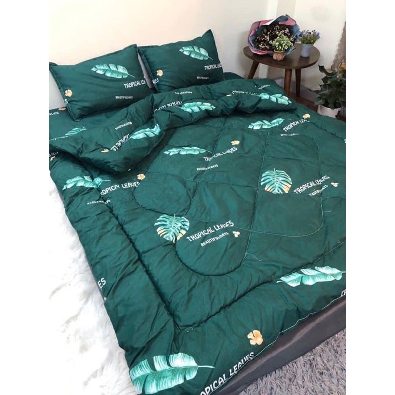 Bộ chăn phao polycotton 5 món 1 chăn phao, 2 vỏ gối đầu,1 vỏ gối ôm,1 ga bo chun 1m6x2m/1m8x2m