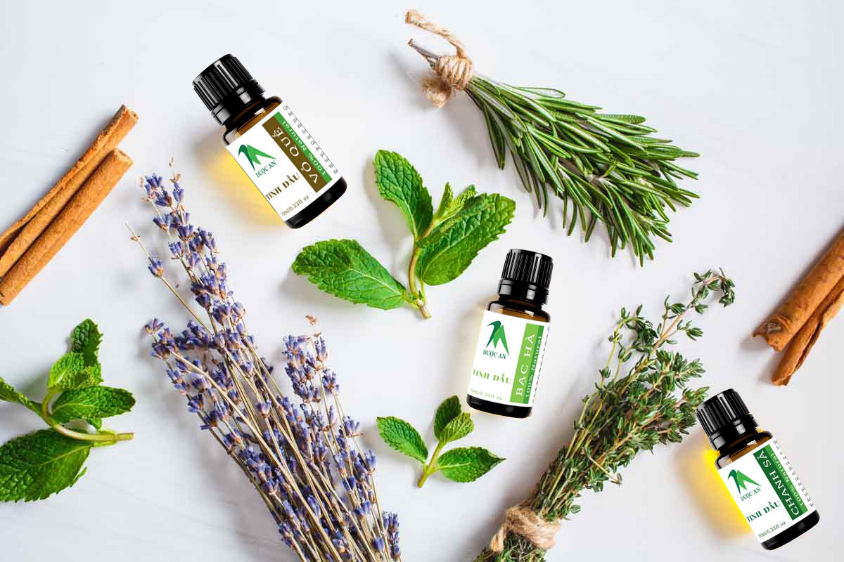 Combo 3 loaị tinh dầu xông thơm phòng xe hơi