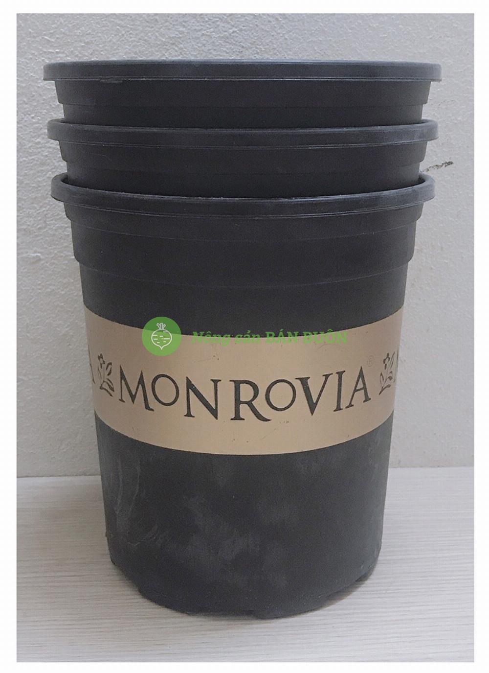 3 Chậu MONROVIA CH Garden 1Gal màu Đen, Kích Thước 16x18 (Rộng X Cao) cm - Sản xuất bởi CUONG HANG PLASTICS
