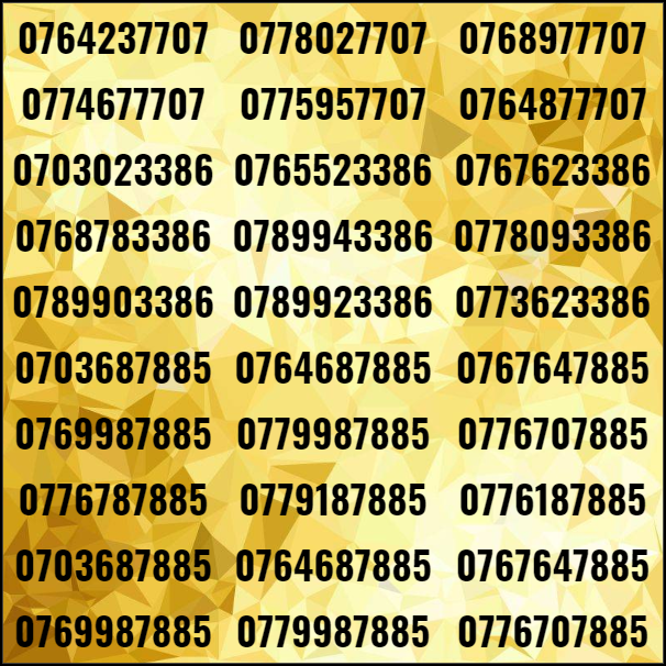 [HCM]Sim tam hoa lặp kép đẹp dễ nhớ