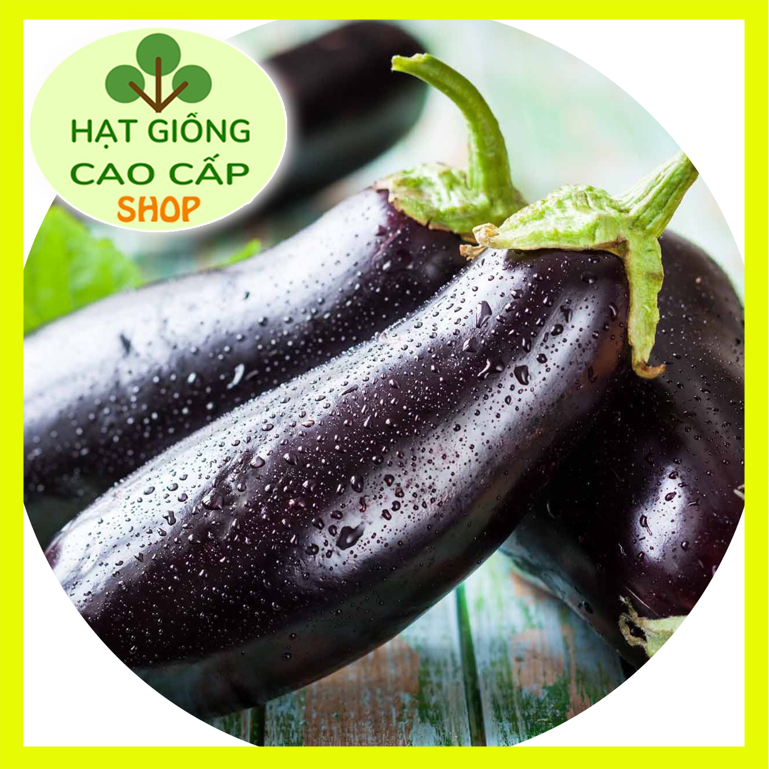 HẠT GIỐNG CÀ TÍM DÀI GÓI 1000MG