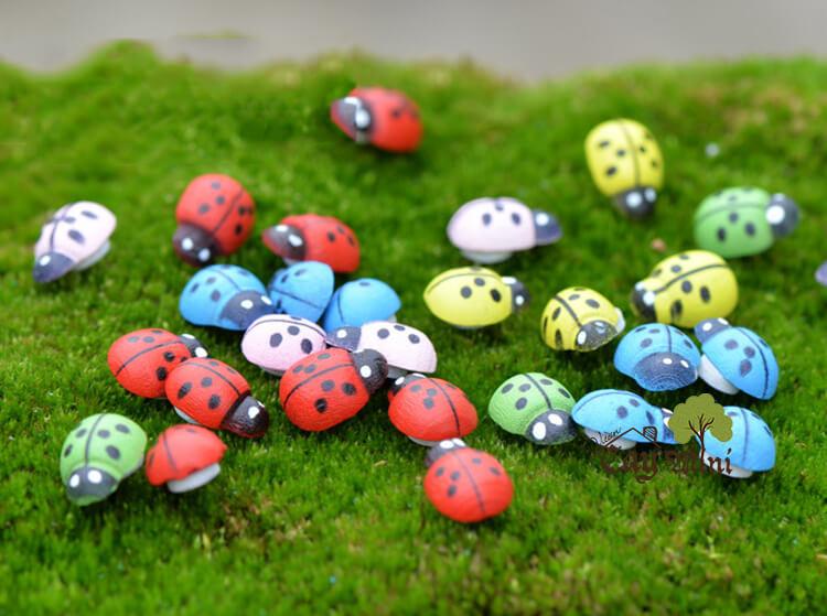 Bọ rùa đủ màu ( 10 con )