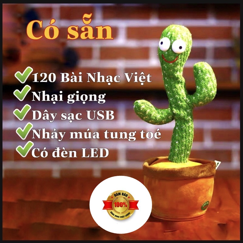Xương Rồng Nhảy Múa Vui Nhộn Phát 120 Bài Quen Thuộc Nhại Được Giọng Nói  Có Sạc Pin USB Cây Xương Rồng  Nhảy Múa Loại Cao Cấp