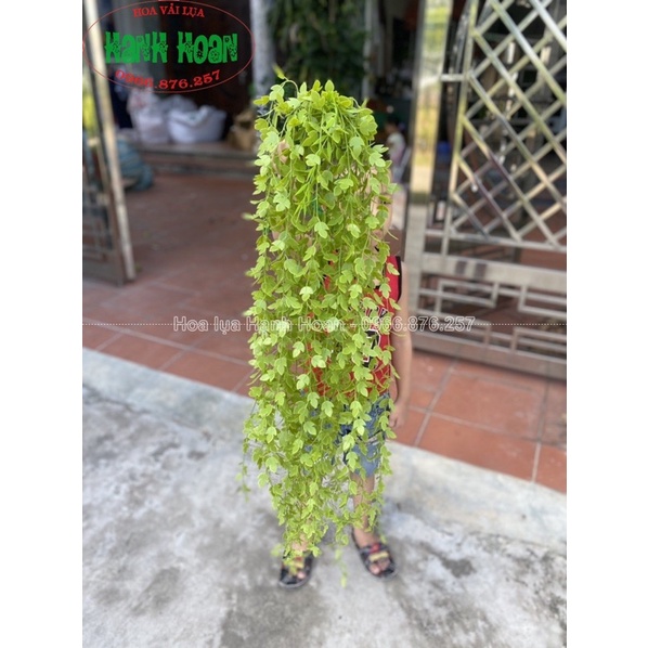 Bụi rủ lá thường xuân 7 nhánh dài 1m2 - Cây hoa giả