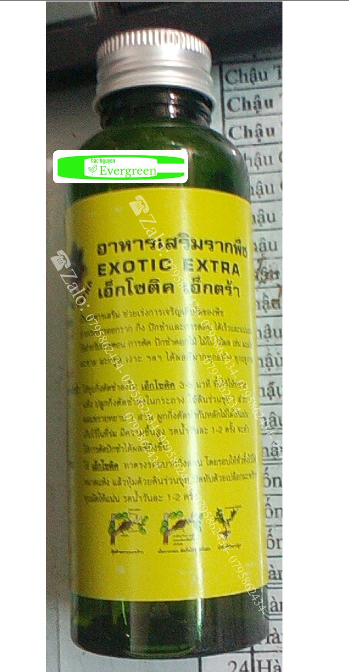 Kích rễ Exotic nhập khẩu Thái Lan chai 100ml