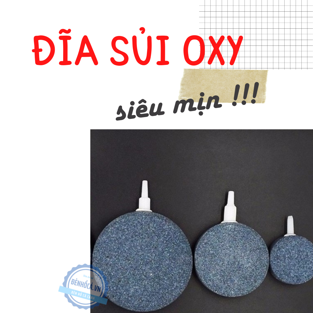 Đĩa sủi oxy siêu mịn dành cho hồ cá