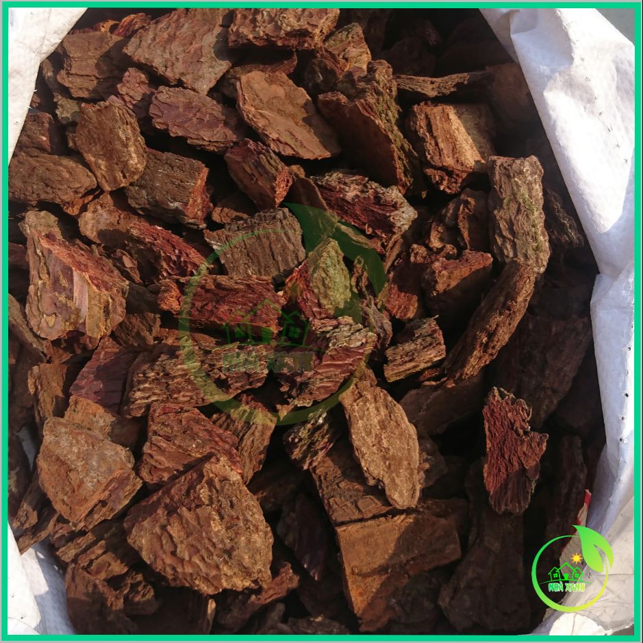 10kg vỏ thông đỏ trồng lan 3*4cm