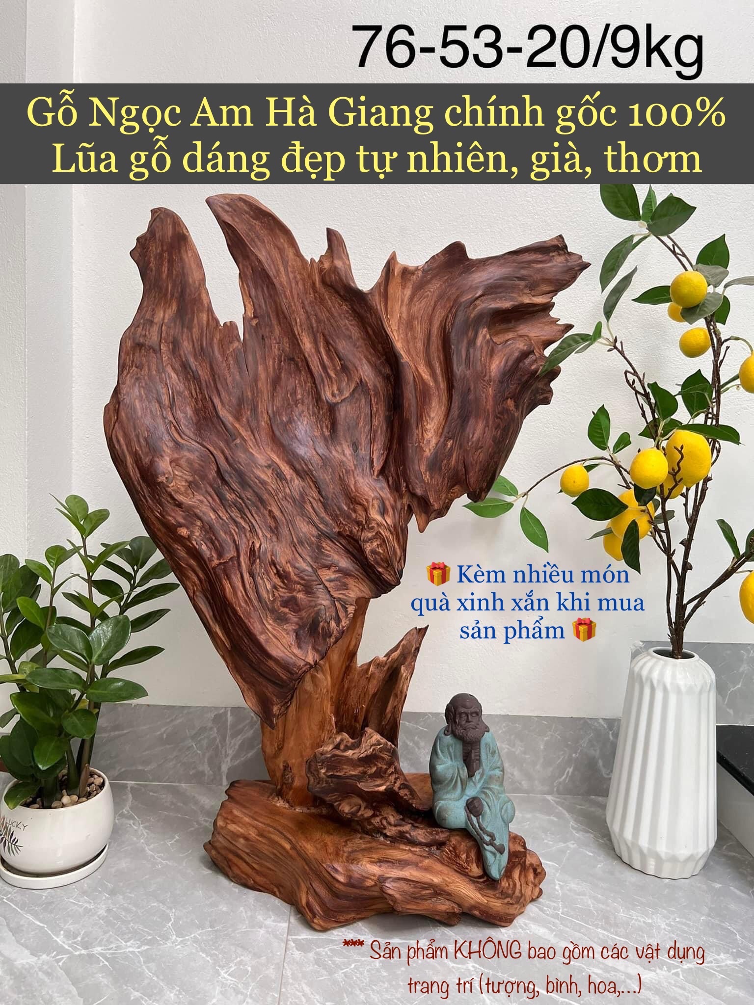 Lũa Ngọc Am Hà Giang, gỗ ngọc am đỏ phong thuỷ, lũa gỗ đẹp, xông trầm, gỗ thơm để bàn, trang trí trưng bày sang trọng. Gỗ thơm Yuleen