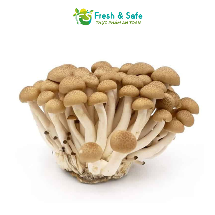 [Chỉ Giao HCM] Nấm linh chi nâu - 5 gói (sỉ)