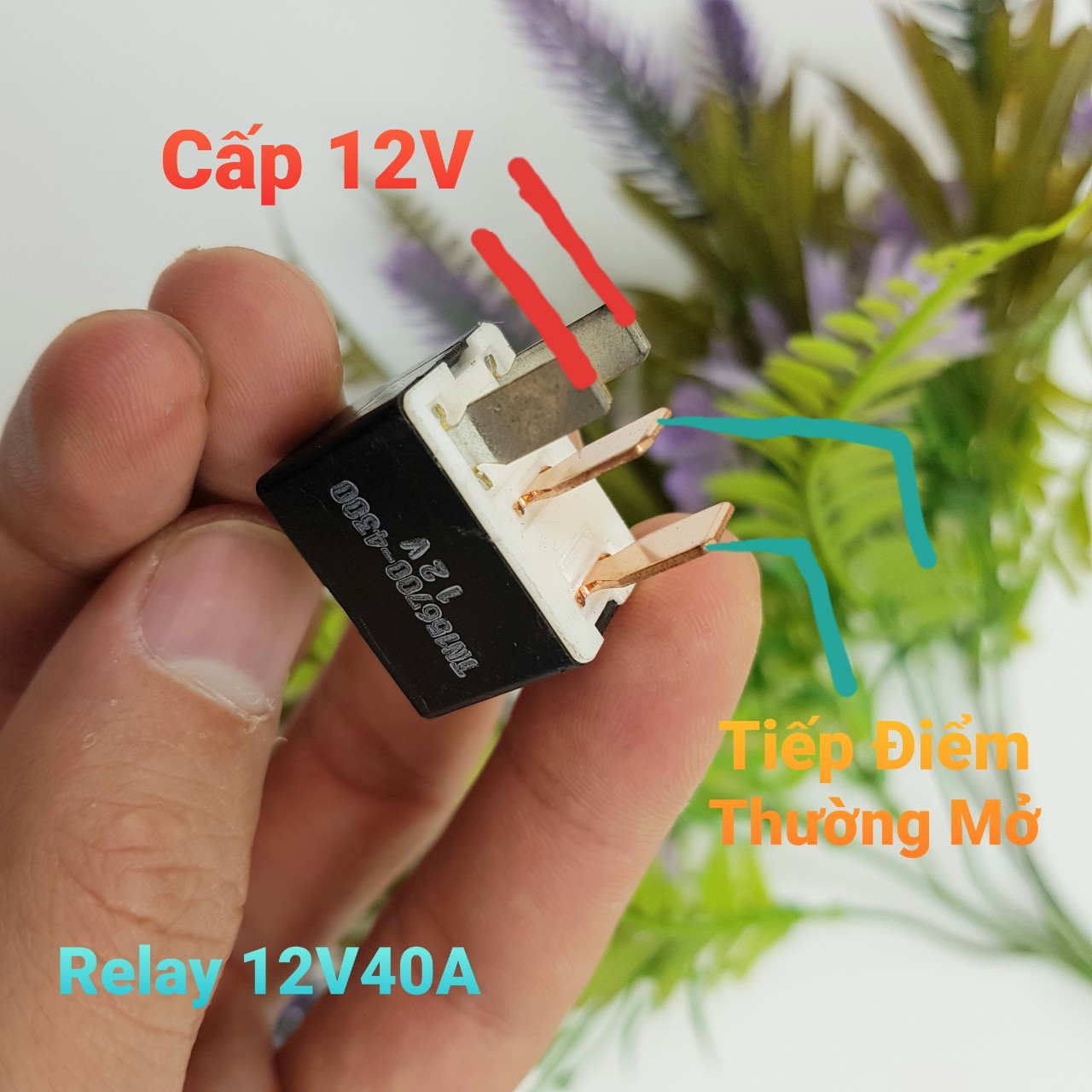 Relay 4 chân 12v 40a 4 chân denso tn156700-4300 rơ le dòng cao rờ le 12v xe máy