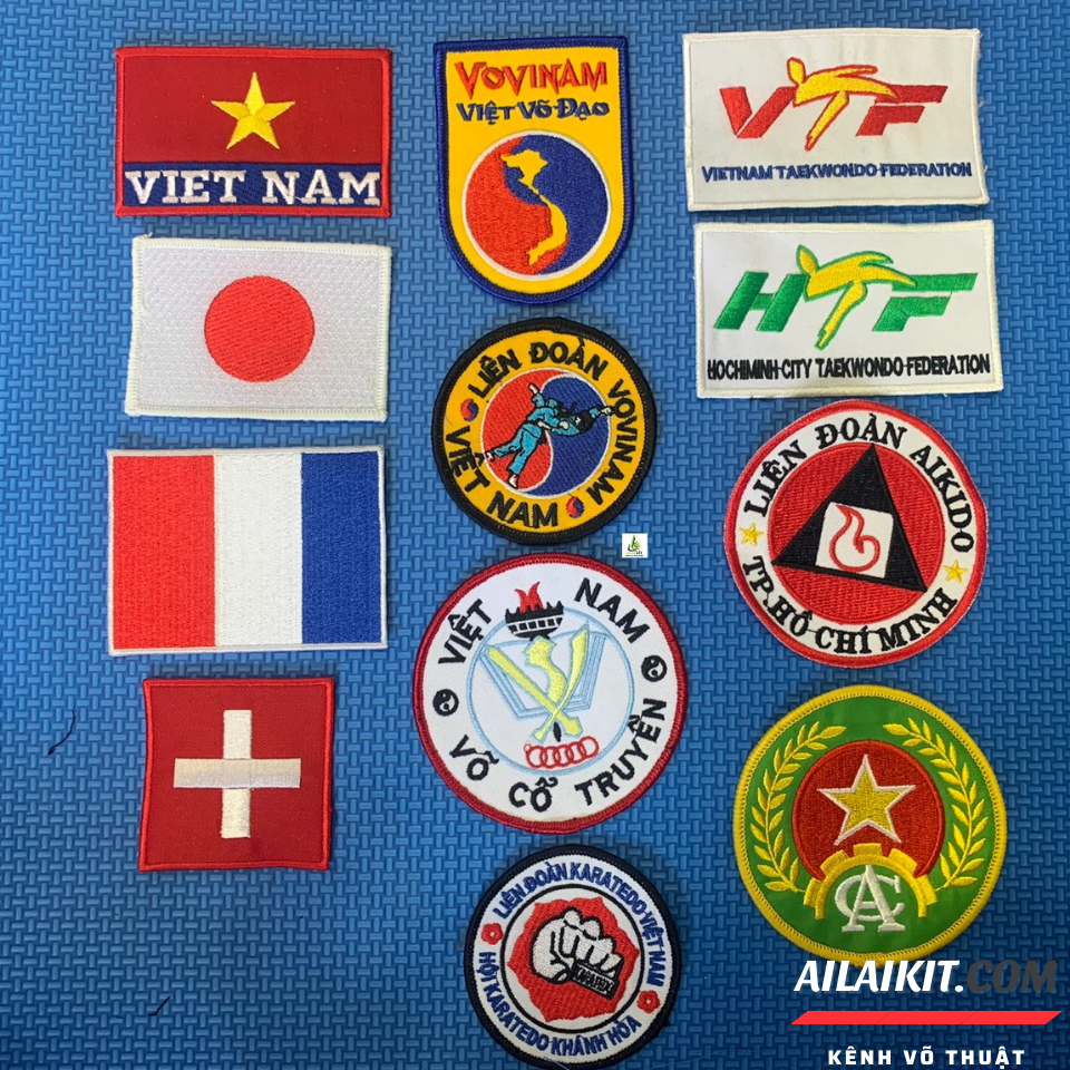 HCMLogo Đại Học TDTT Logo Vovinam Taekwondo Karate Việt Nam Pháp Thụy SĨ