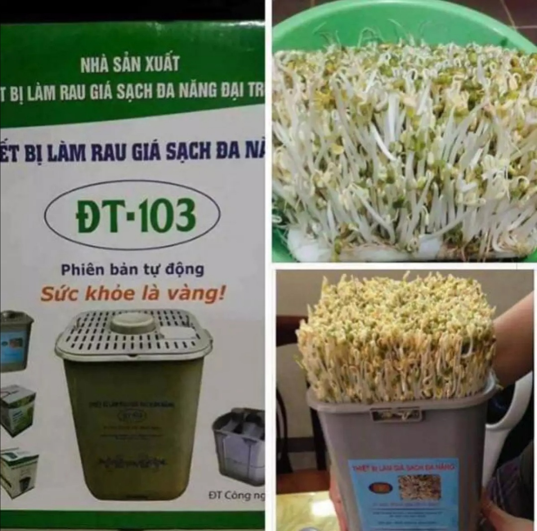 Máy làm giá đỗ sạch đa năng DT-103. Làm giá đỗ tự động. Dễ dàng sử dụng
