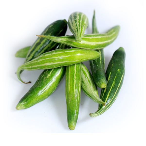 10 Hạt giống lặc lày sai trái