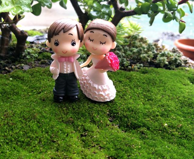 [HCM]Mô hình cặp đôi cô dâu chú rể trang trí tiểu cảnh thủy sinh terrarium chậu cây cảnh sen đá bánh kem