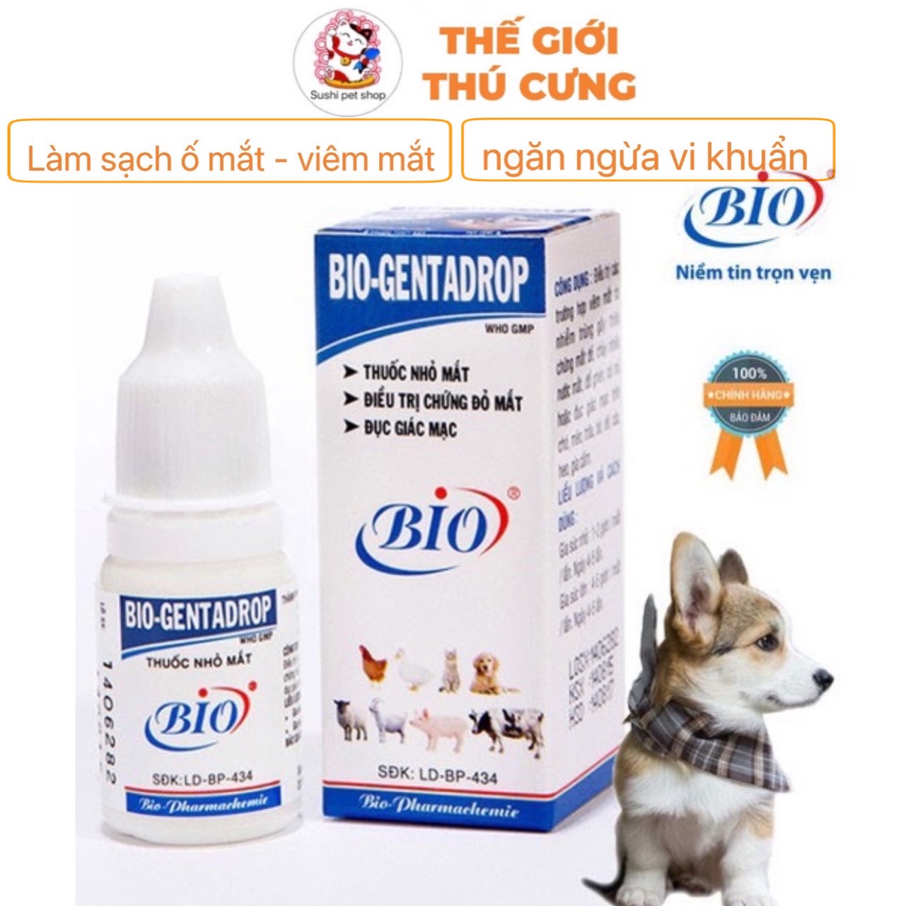 Thuốc nhỏ mắt bio genta drop xử lý chứng mắt đỏ, chảy nước mắt chó mèo