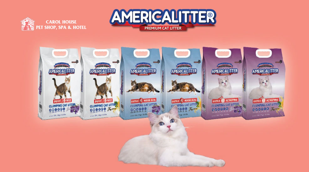Cát vệ sinh cho mèo america little 10l - ~ 8kg