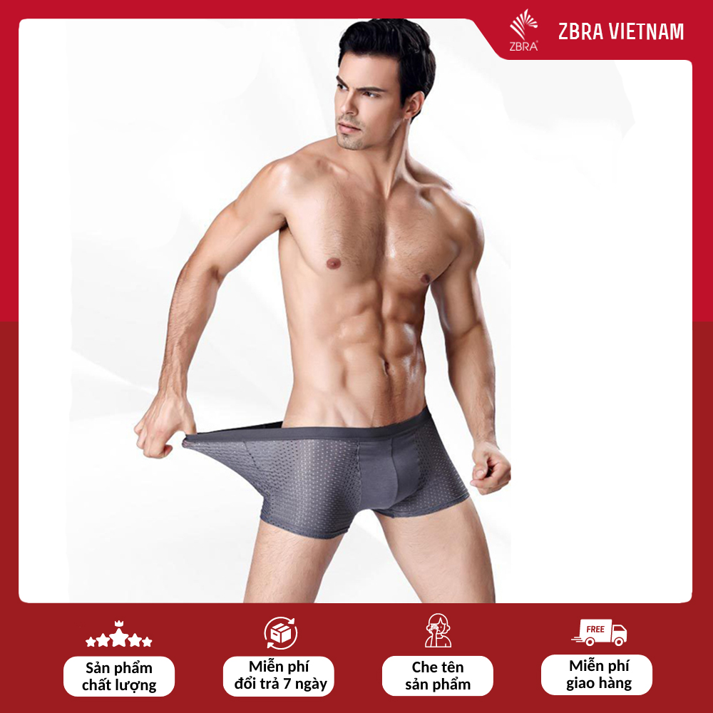 Quần lót nam boxer sịp đùi nam dạng lưới thông hơi cao cấp ôm sát body trẻ trung Zbra - ZQN09
