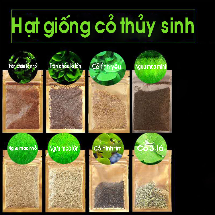 2 gói hạt giống cây thủy sinh dùng trang trí hồ cá
