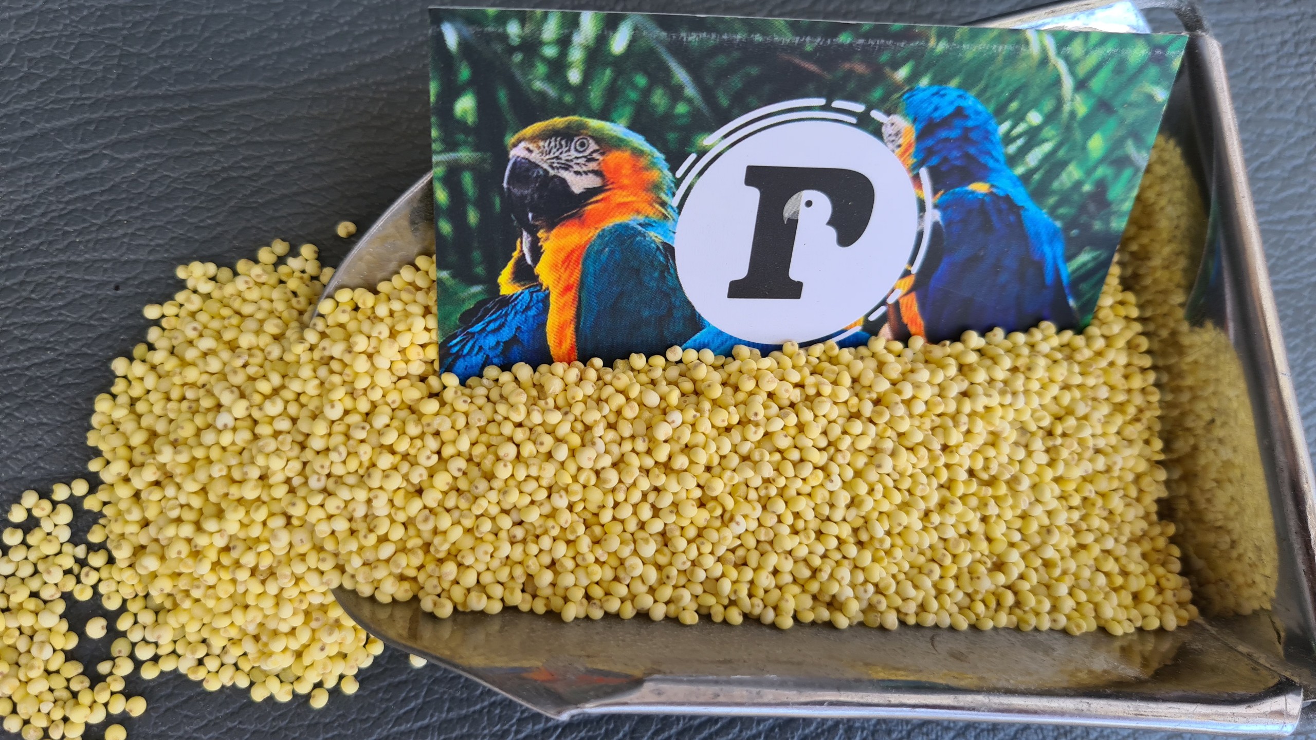 [HCM]1KG KÊ VÀNG (ĐÃ BÓC VỎ) CHO CHIM VẸT(NGƯỜI ĂN ĐƯỢC)