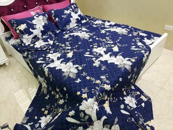 Bộ 5 món chăn hè cotton poly mẫu mới
