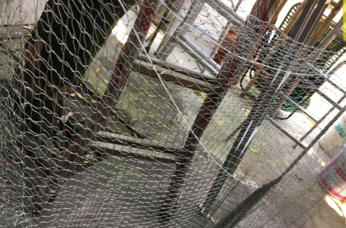 Lưới giật bẫy cu gáy dài 5m