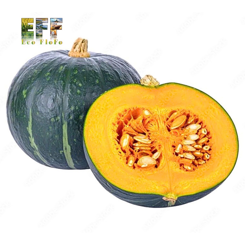 1 Thùng 9Kg Trái Bí Đỏ Giống Nhật trồng tại Lâm Đồng Eco FloFo Đạt Chuẩn VietGAP (Chỉ Bán Hàng Loại A+ Được Tuyển Chọn Để Xuất Khẩu)