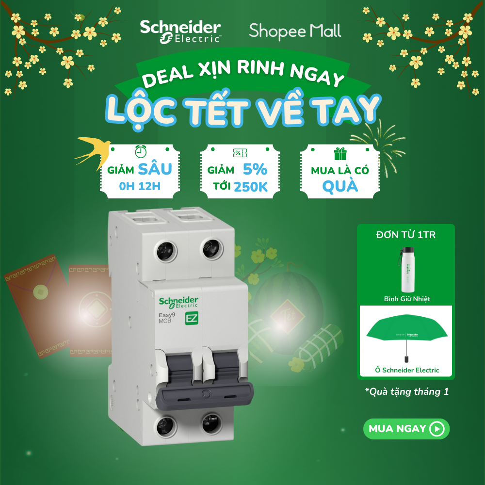 Cầu dao tự động MCB (át cài) 2P dòng cắt 4.5kA C Curve Easy9 - Schneider Electric - EZ9F34206 EZ9F34210 EZ9F34216 EZ9F34220 EZ9F34225 EZ9F34232 EZ9F34240 EZ9F34250 EZ9F34263