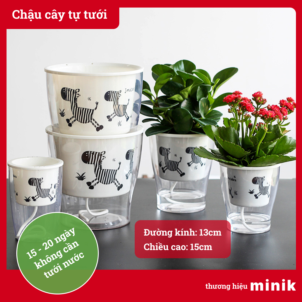 Chậu trồng cây tự dưỡng MINIK, chậu 2 lớp trong suốt, có hình ngựa vằn, chậu thông minh, giúp cây có thể phát triển tốt mà không cần tưới trong 7-14 ngày, chất liệu nhựa PP tiêu chuẩn Châu Âu