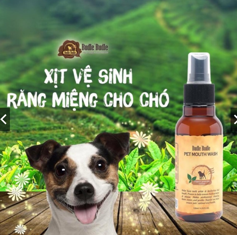 Xịt thơm miệng chó vệ sinh miệng budle budle dành cho chó thú cưng