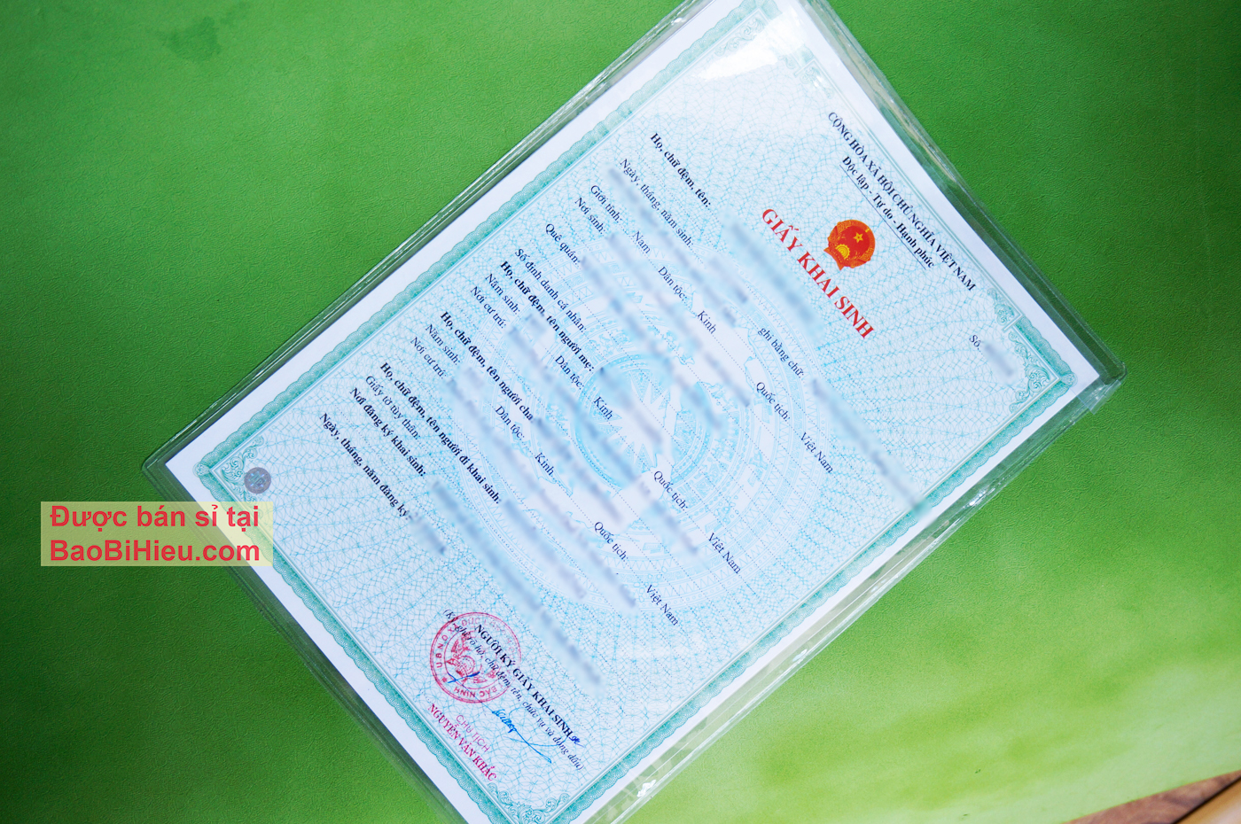 [A4] Túi nhựa dẻo đựng giấy tờ khổ A4 (giấy khai sinh, kết hôn, hợp đồng…), Mã SP B167C